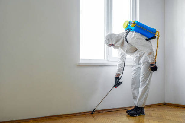 Best Real Estate Pest Inspections  in Reedspt, OR